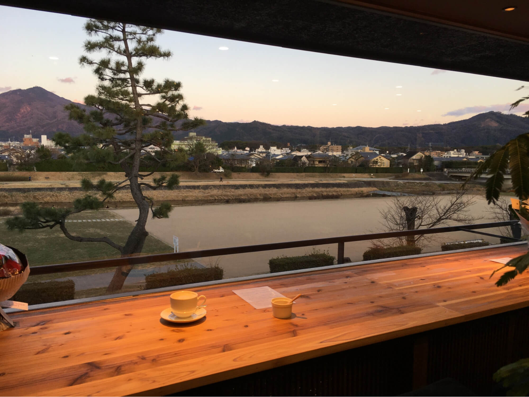 京都で室内ドッグラン以外で雨の日に利用できる施設：cafe sora